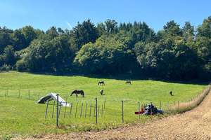 "Wohnen in herrlicher Randlage mit Blick in die Natur" Attraktives und sonniges EFH in Weissach – Die vollständige Adresse der Immobilie erhältst du vom Anbieter., 71287 Weissach – Vorschaubild 4