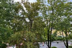 Property thumbnail 27