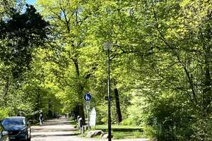 Bezugsfreie 2-Zimmer-Altbauwohnung mit Balkon Nahe Schlosspark – Schloßallee 45, 13156 Niederschönhausen, Berlin – Vorschaubild 22