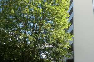 Gut aufgeteilte Wohnung in ruhiger Lage Nähe Uni - ideal auch für Studenten WG – Die vollständige Adresse der Immobilie erhältst du vom Anbieter., 54296 Kürenz, Trier – Vorschaubild 3