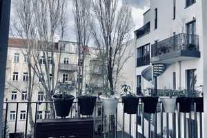 Nachmieter gesucht für stilvolle sanierte 3-Zimmer-Wohnung in Prenzlauer Berg, Berlin – Berlin – Vorschaubild 11