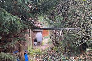 Wohntraum verwirklichen im gemütlichen Ort Marolterode – Die vollständige Adresse der Immobilie erhältst du vom Anbieter., 99994 Marolterode – Vorschaubild 8