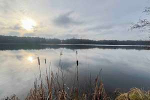 KfW40-Großzügiges Einfamilienhaus direkt am Wald/Seevetal(Horst) mit grosszügigem Grundstück – Die vollständige Adresse der Immobilie erhältst du vom Anbieter., 21220 Seevetal – Vorschaubild 15