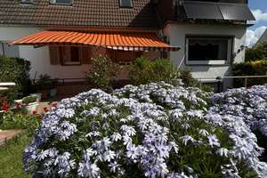 Charmante, provisonsfreie DHH mit Ausbaupotenzial, ELW und großem Garten! Stilles Bieterverfahren! – Die vollständige Adresse der Immobilie erhältst du vom Anbieter., 56075 Karthause Nord, Koblenz – Vorschaubild 7