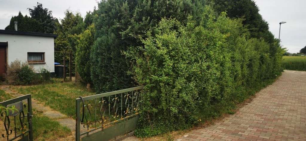 Immobilie in Barleben - ...kleines Häuschen mit Potential auf großem Grundstück!!! - Bild 2