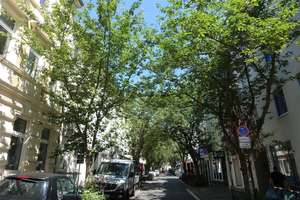 Bonn-Altstadt, schönes Appartement – Die vollständige Adresse der Immobilie erhältst du vom Anbieter., 53111 Nordstadt, Bonn – Vorschaubild 16