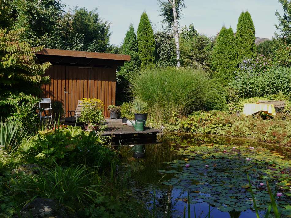 Steg und Terrasse am Teich