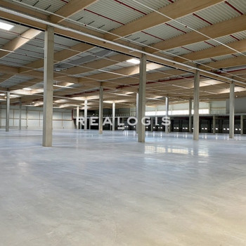 Lensahn, ca. 10.218 m² Neubau-Logistikflächen ab sofort zu vermieten
