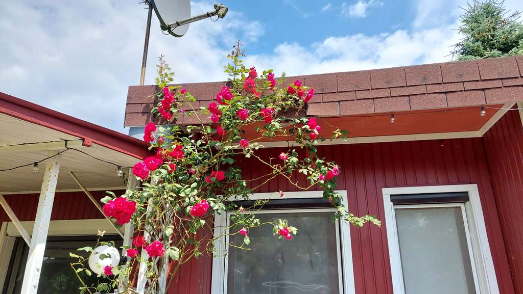 Immobilie in Warnow - Bungalow auf 580 m² Eigenland im Warnow-Durchbruchtal – Natur, Ruhe & Ausbaupotenzial - Bild 1