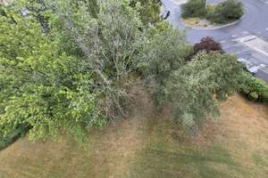 (Anfragen nur per eMail) -Ruhige und gepflegte Drei-Zimmer-Küche-Bad Wohnung  in Darmstadt-Wixhausen – In den Wingerten 1, 64291 Wixhausen, Darmstadt – Vorschaubild 15
