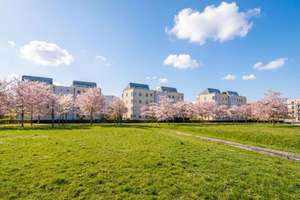 Ihr Zuhause am Park: 4 Zimmer, Balkon & Stellplatz mit freiem Blick ins Grüne – Die vollständige Adresse der Immobilie erhältst du vom Anbieter., 14469 Bornstedt, Potsdam – Vorschaubild 23