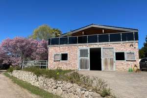 Exklusives Objekt für Pferdeliebhaber oder Hobbybetriebsstätte mit Wohnhaus im DG = in ruhiger Lage – Up´n Barg 10b, 22926 Ahrensburg – Vorschaubild 4