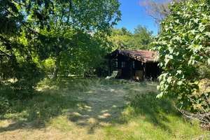 Brück Immobilien - EFH zum selbst Renovieren mit 1.091 m² Grundstück  – Die vollständige Adresse der Immobilie erhältst du vom Anbieter., 81735 Ramersdorf, München – Vorschaubild 13