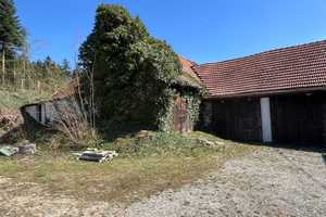 Ehem. Hofstelle mit Wiese und Gehölz, ca. 6590m² bei Rain - Ortsteil – Donau-Ries (Kreis) – Vorschaubild 21