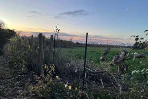 Property thumbnail 20