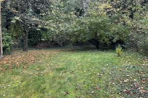 Charmantes EFH in direkter Ortslage von Holzappel, (nähe Diez),  mit  Schrebergarten – Die vollständige Adresse der Immobilie erhältst du vom Anbieter., 56379 Holzappel – Vorschaubild 26