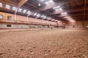 Reitanlage im Schwarzwald auf einem Erbpacht-Grundstück mit zwei Wohneinheiten! – Die vollständige Adresse der Immobilie erhältst du vom Anbieter., 75323 Bad Wildbad – Vorschaubild 6