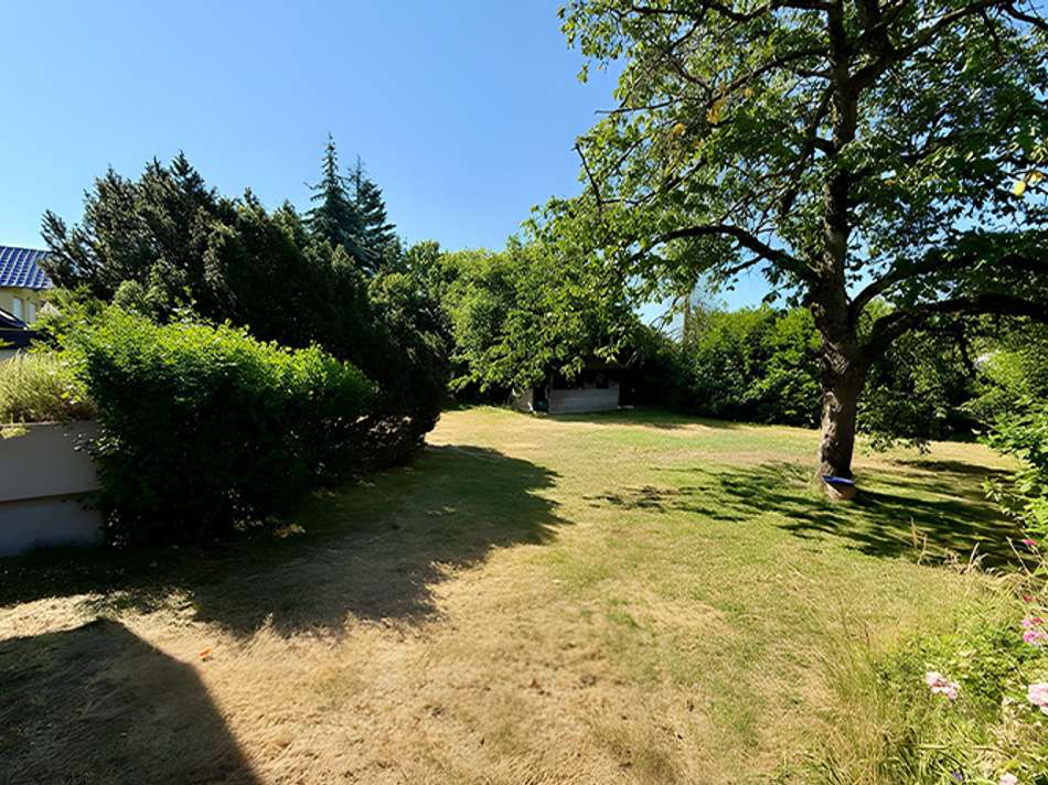 großzügiger Garten