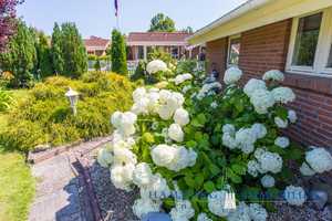 Scandinavischer EBK Bungalow auf ca. 792m² Traum-Grundstück in 23747 Dahme – Ostholstein (Kreis) – Vorschaubild 7