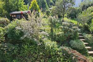 Schönes Zweifamilienhaus mit toller Aussicht in ruhiger Wohnlage – Eichbergstraße 32, 79117 Littenweiler, Freiburg im Breisgau – Vorschaubild 15