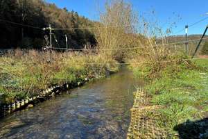 Modernes Anwesen mit Reitanlage und 3,8 ha Pachtfläche – Die vollständige Adresse der Immobilie erhältst du vom Anbieter., 72160 Horb am Neckar – Vorschaubild 44