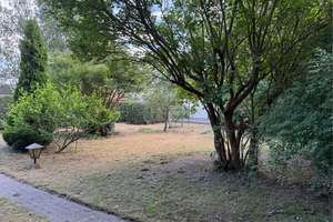 Reihenhaus mit parkähnlichem Garten und Carport in der Südstadt Braunschweigs – Sandgrubenweg 60, 38126 Südstadt-Rautheim-Mascherode, Braunschweig – Vorschaubild 5