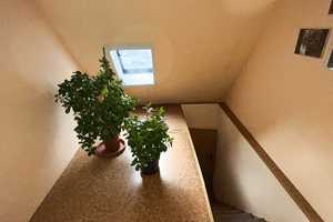 Großes Wohnhaus in attraktiver Lage – Hohe Straße 1, 9337 Zwickau (Kreis) – Vorschaubild 22