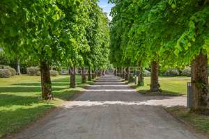 Property thumbnail 15