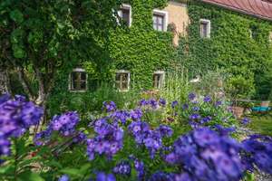 Denkmalgeschütztes Wohnhaus aus dem 18. Jahrhundert, ehemaliges Mühlengebäude in idyllischem Garten – Die vollständige Adresse der Immobilie erhältst du vom Anbieter., 94110 Wegscheid – Vorschaubild 50