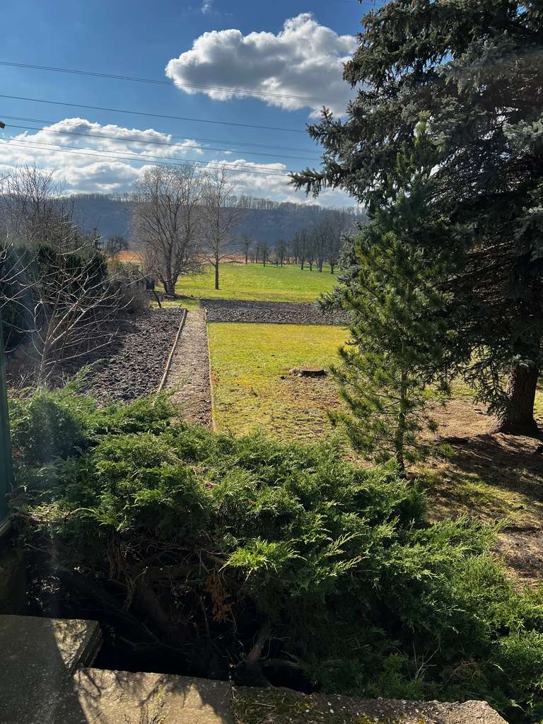 Immobilie in Coswig - EFH mit Blick ins Grüne und separatem Office oder Ferienwohnung - Bild 2