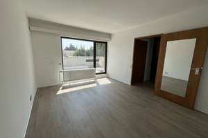 EXKLUSIVES ARCHITEKTENHAUS! RENOVIERTES FREISTEHENDES 1-FAMILIENHAUS MIT GARTEN UND GARAGE! – Die vollständige Adresse der Immobilie erhältst du vom Anbieter., 67227 Kernstadt, Frankenthal (Pfalz) – Vorschaubild 36