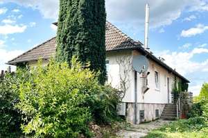 Großzügiges Einfamilienhaus mit Einliegerwohnung direkt am Elbdeich in Hamburg Kirchwerder – Die vollständige Adresse der Immobilie erhältst du vom Anbieter., 21037 Kirchwerder, Hamburg – Vorschaubild 28