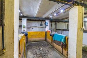 Idyllische Reitanlage mit Wohnhaus, Gästezimmern und Wirtschaftsgebäuden – Die vollständige Adresse der Immobilie erhältst du vom Anbieter., 27612 Loxstedt – Vorschaubild 24