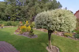Stilvolles Einfamilienhaus mit Traumgarten an der Treene im Holländerstädtchen – Nordfriesland (Kreis) – Vorschaubild 7