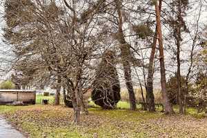 Für Familien! Reiheneckhaus mit großem Garten! – Freising (Kreis) – Vorschaubild 23