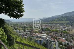 Stilvoll modernisiert: Maisonette- Wohnungstraum am Schlossberg fußläufig zu Freiburgs Altstadt – 79102 Oberau, Freiburg im Breisgau – Vorschaubild 27