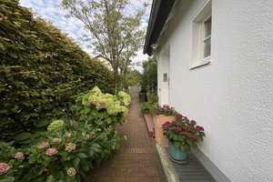 Schickes Einf.-Haus in Bad Meinberg - für Käufer provisionsfrei! – Horn-Bad Meinberg, Lippe (Kreis), 32805 Lippe (Kreis) – Vorschaubild 6