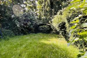 Property thumbnail 14