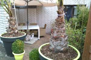 1-3 Fam. Haus ca 360 qm in WILLEBADESSEN zwischen HÖXTER+PADERBORN+NEBENGEBÄUDE +1000 qm GRUNDSTÜCK – Die vollständige Adresse der Immobilie erhältst du vom Anbieter., 34439 Willebadessen – Vorschaubild 17