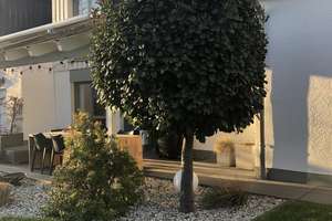 Familienfreundliches Niedrigenergiehaus in ruhiger Privatstraße – Die vollständige Adresse der Immobilie erhältst du vom Anbieter., 59199 Bönen – Vorschaubild 18