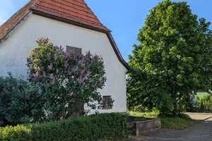 Schönes Bauernhaus mit großer Scheune und Ausblick ins Tal – Kleinsachsenheimer Straße 37, 74321 Ludwigsburg (Kreis) – Vorschaubild 3
