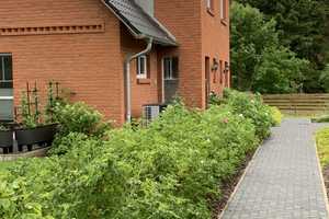 4-Raum-Doppelhaushälfte, Baujahr 2019 mit gehobener Innenausstattung auf Usedom – Dorfstraße 4c, 17440 Ostvorpommern (Kreis) – Vorschaubild 4