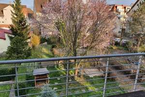 2-Zi-Wohnung im grünem Zentrum von Zuffenhausen mit großem Gartenanteil – Die vollständige Adresse der Immobilie erhältst du vom Anbieter., 70435 Zuffenhausen-Mitte, Stuttgart – Vorschaubild 7