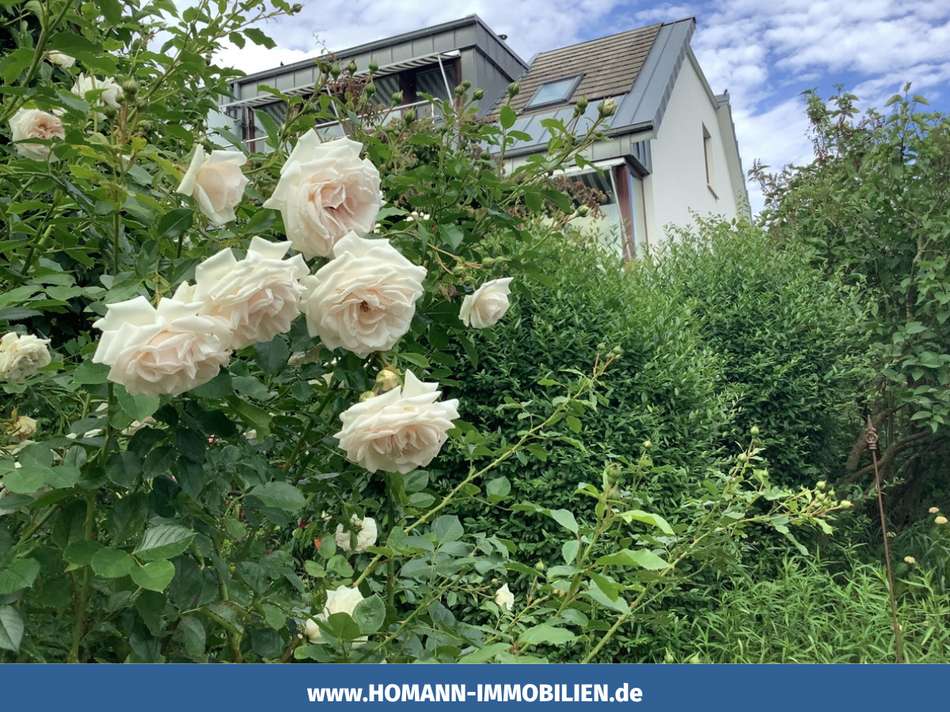 Wohnhaus Gartenansicht