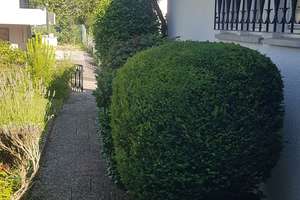 Wohnhaus mit Zwei-Zimmer-Einliegerwohnung in sehr schöner Süd-Wohnlage mit Fernsicht – 74081 Klingenberg, Heilbronn – Vorschaubild 7