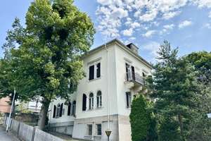 * Große und sehr repräsentative denkmalgeschützte Villa mit separatem Teehaus * – Die vollständige Adresse der Immobilie erhältst du vom Anbieter., 1326 Hosterwitz/Pillnitz, Dresden – Vorschaubild 4