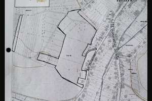 Natur pur: Wohngebäude + Bauplatz + 5ha Wald in Beckingen – An Millessen 30, 66701 Beckingen – Vorschaubild 8