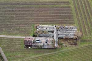 Idyllische Lage im Herzen des Rheingaus–Perfekt für Ihr Weingut oder landwirtschaftlichen Betrieb – Rheingau-Taunus-Kreis – Vorschaubild 21