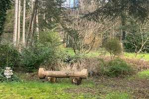 Ihr neues Zuhause: Großzügiges Familienhaus mit traumhaftem Garten – Die vollständige Adresse der Immobilie erhältst du vom Anbieter., 66333 Völklingen – Vorschaubild 7