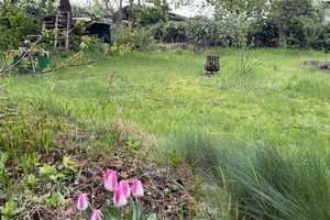 Sommer im eigenen Garten genießen- reserviert bis 12.06.2025 – Meißen (Kreis) – Vorschaubild 1